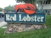 red-lobster-mon